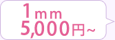 1mm 3,000円~