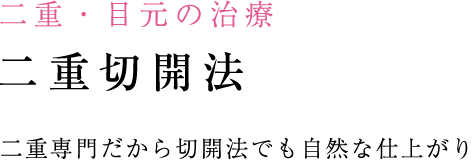二重全切開法